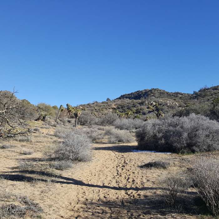 Near Black Rock Canyon Trail