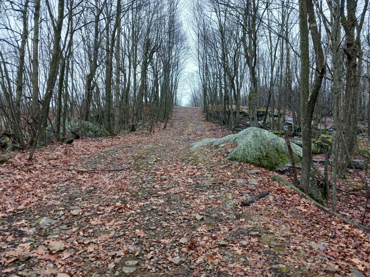 OHV 39 - Rock Run Recreation Area trail photo