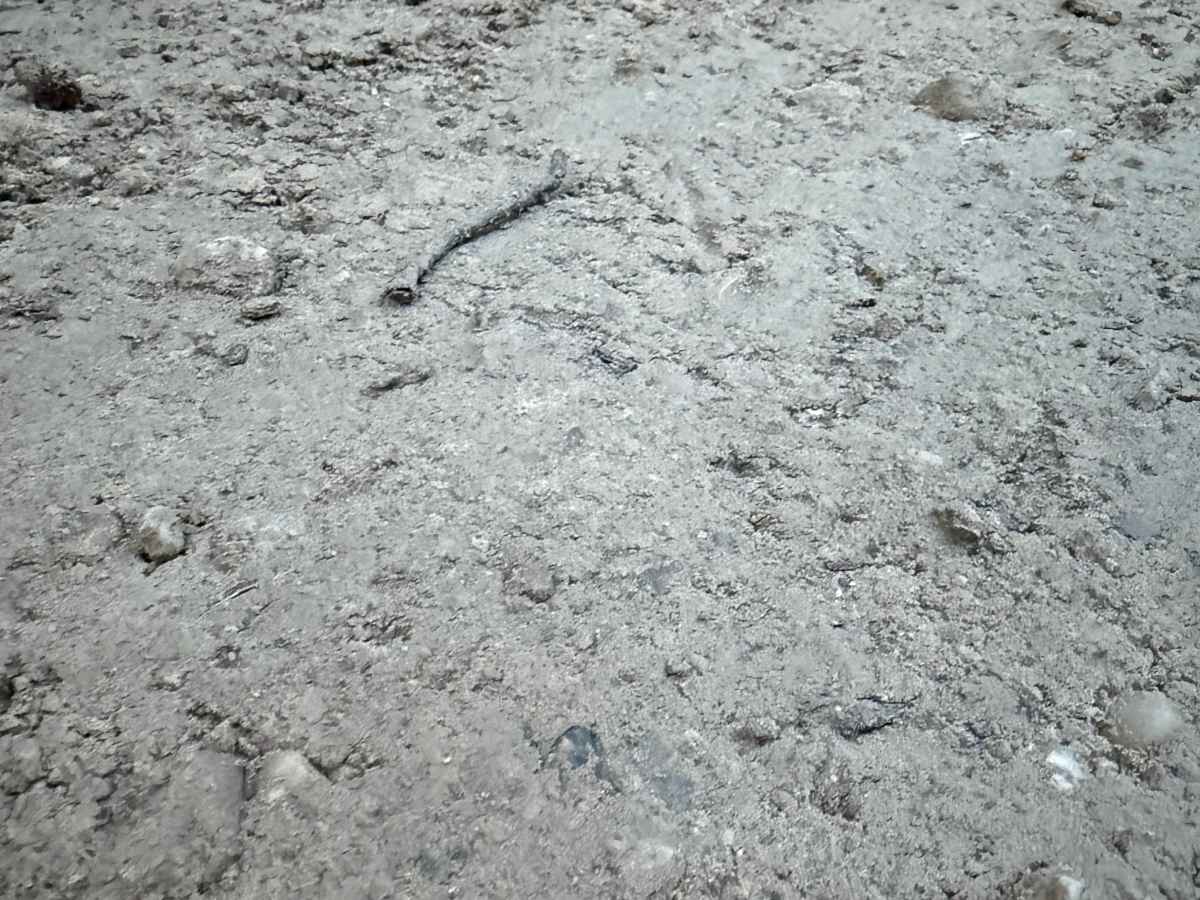 King Brighton Trail photo 5
