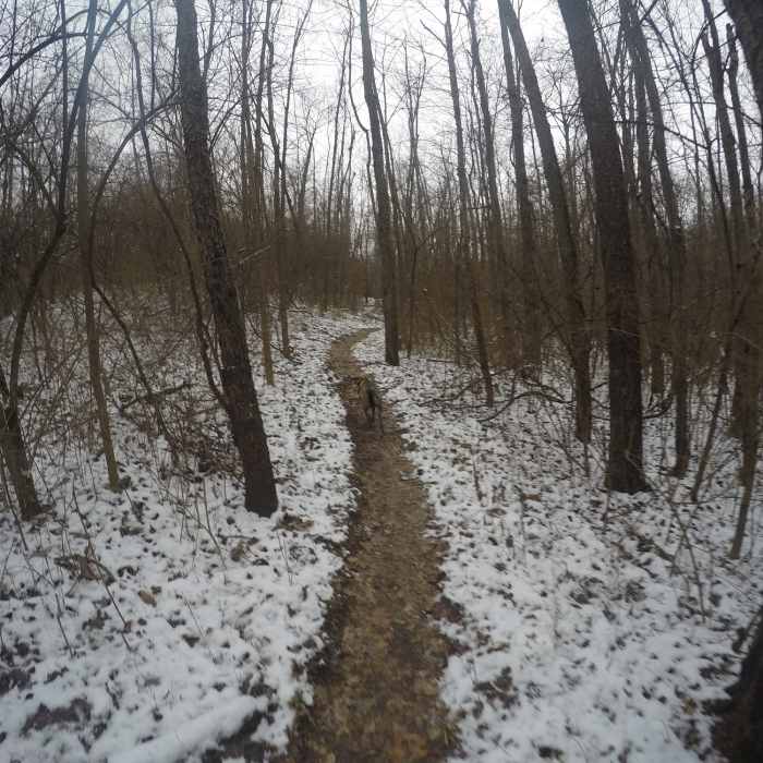 Near Westwood Lake Trail