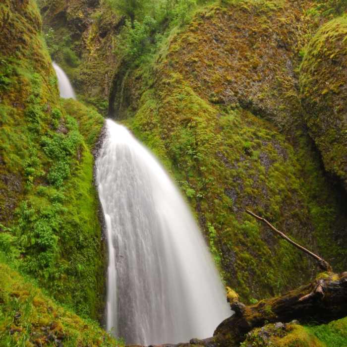 Near Multnomah Falls Loop
