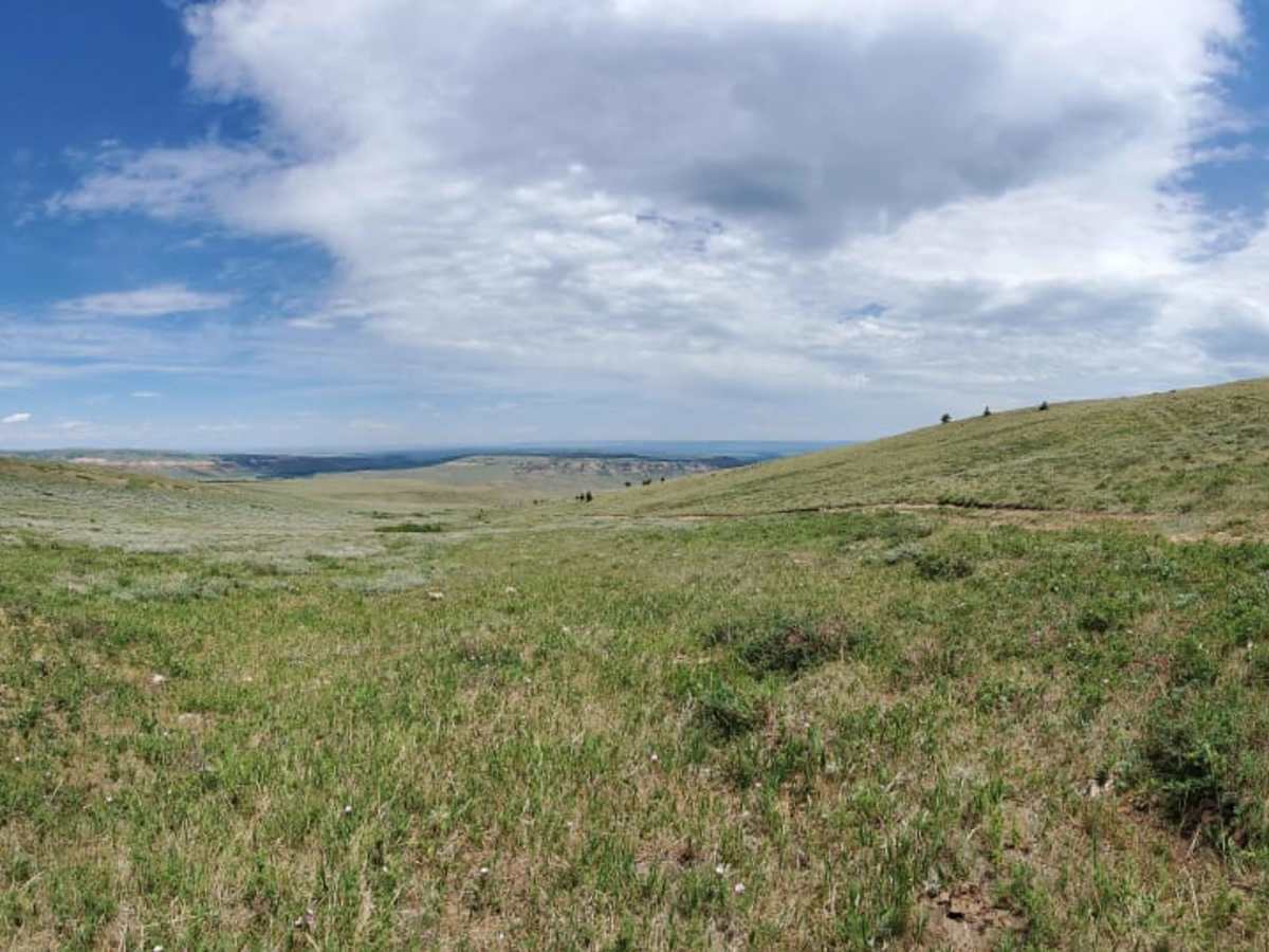 Sheep Mountain trail photo