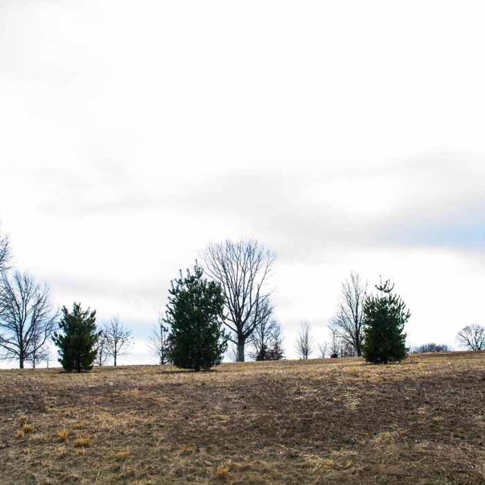 Near Joseph Plumb Martin Trail + Mount Joy Trail Near Joseph Plumb Martin Trail + Mount Joy Trail