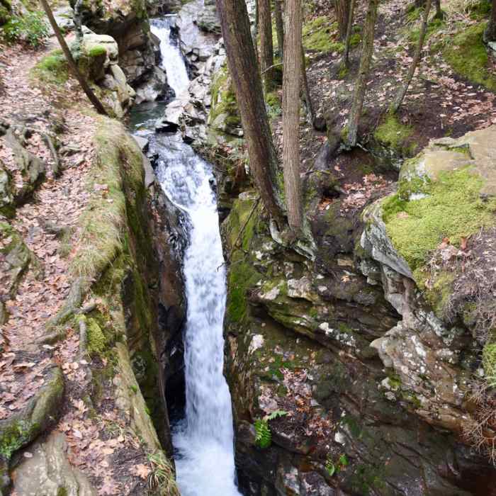 Near Audubon Loop Trail Near Audubon Loop Trail