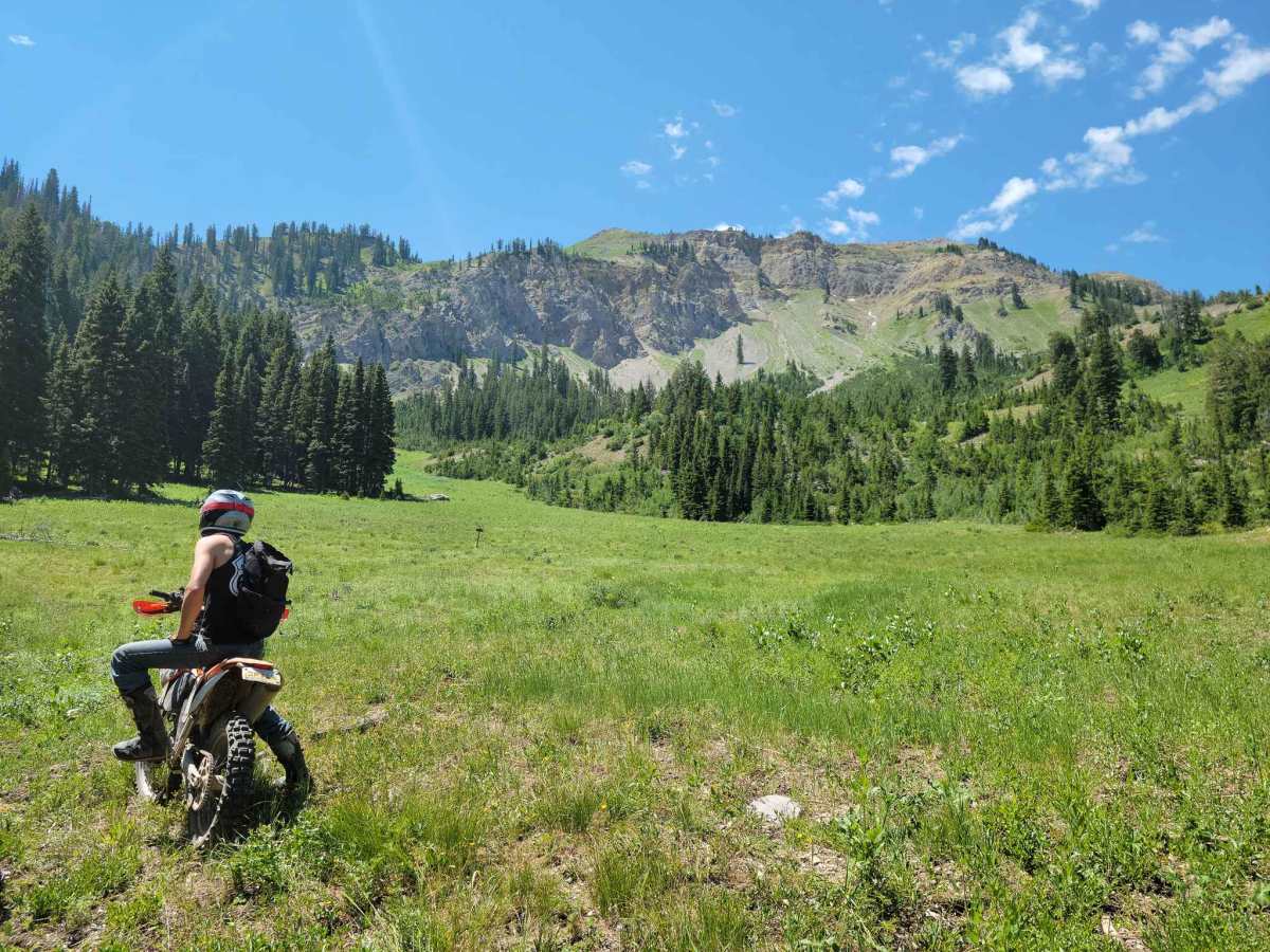 Mountain Single Track photo 4