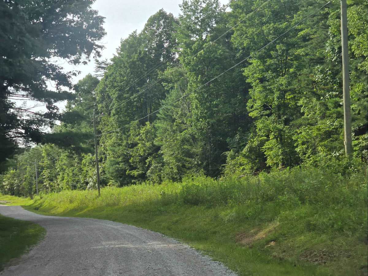 Bandy Creek Road photo 2