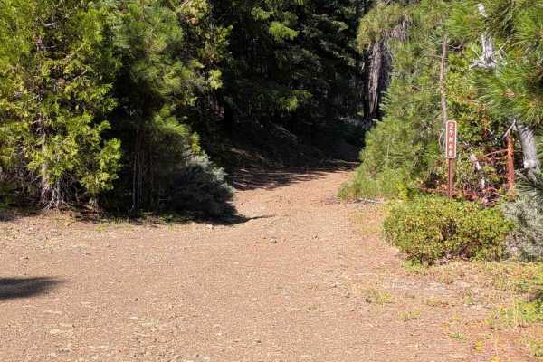 West Dubakella Road - FS 29N68