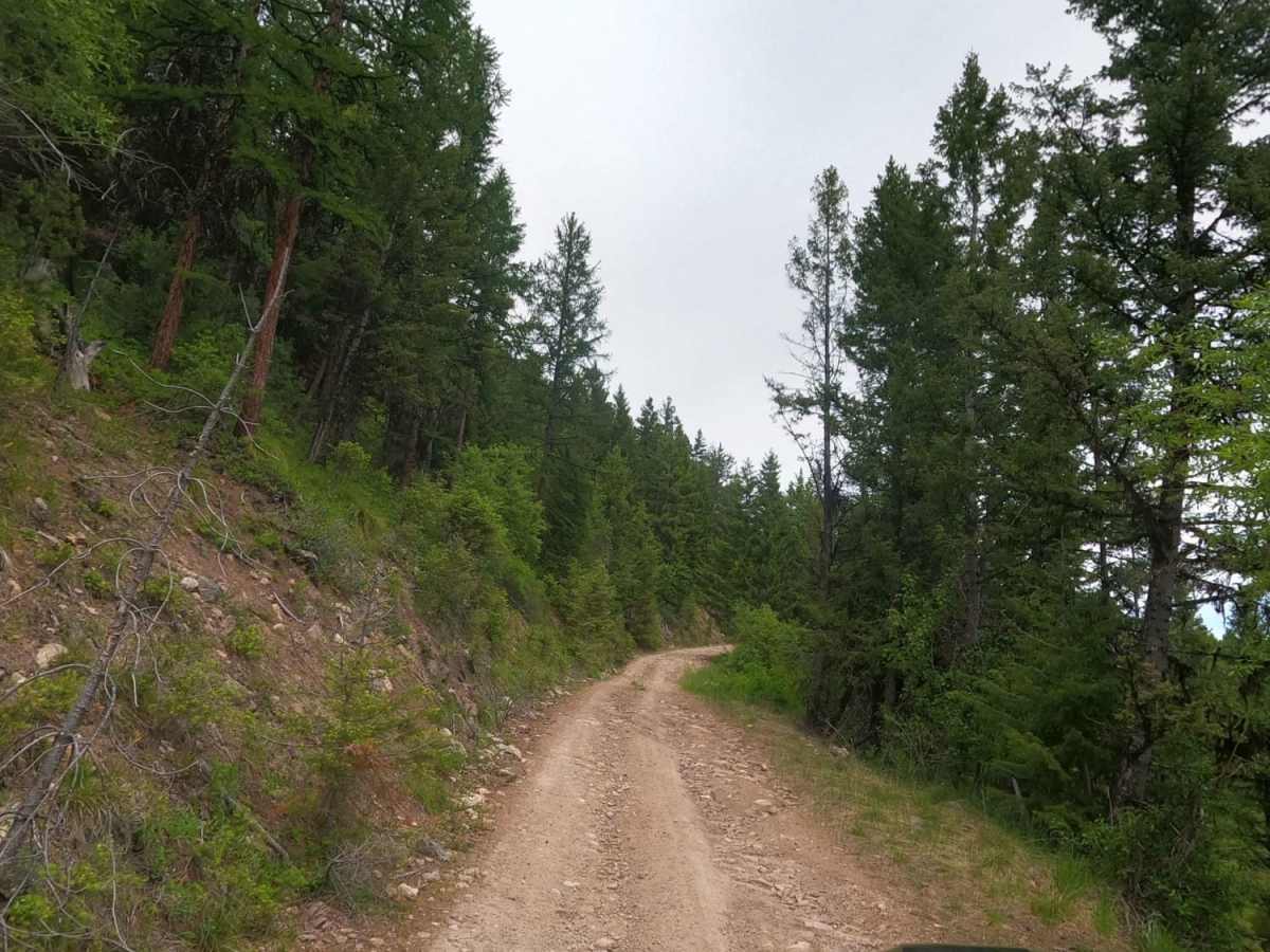 Corral Creek Rd 2146 trail photo