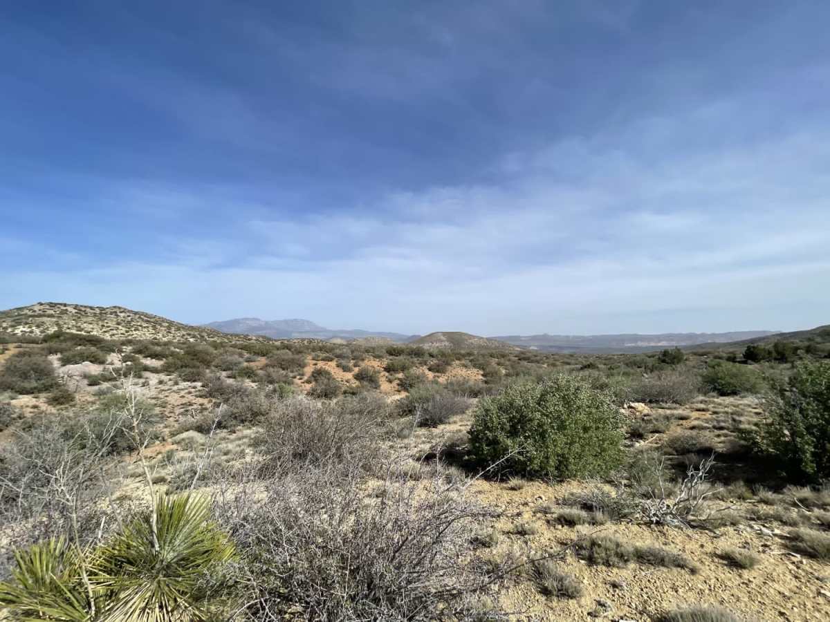 Pass On This One trail photo