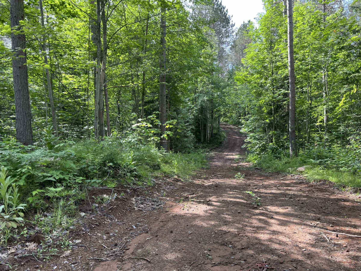 Trail LL FDR-5311 photo 5