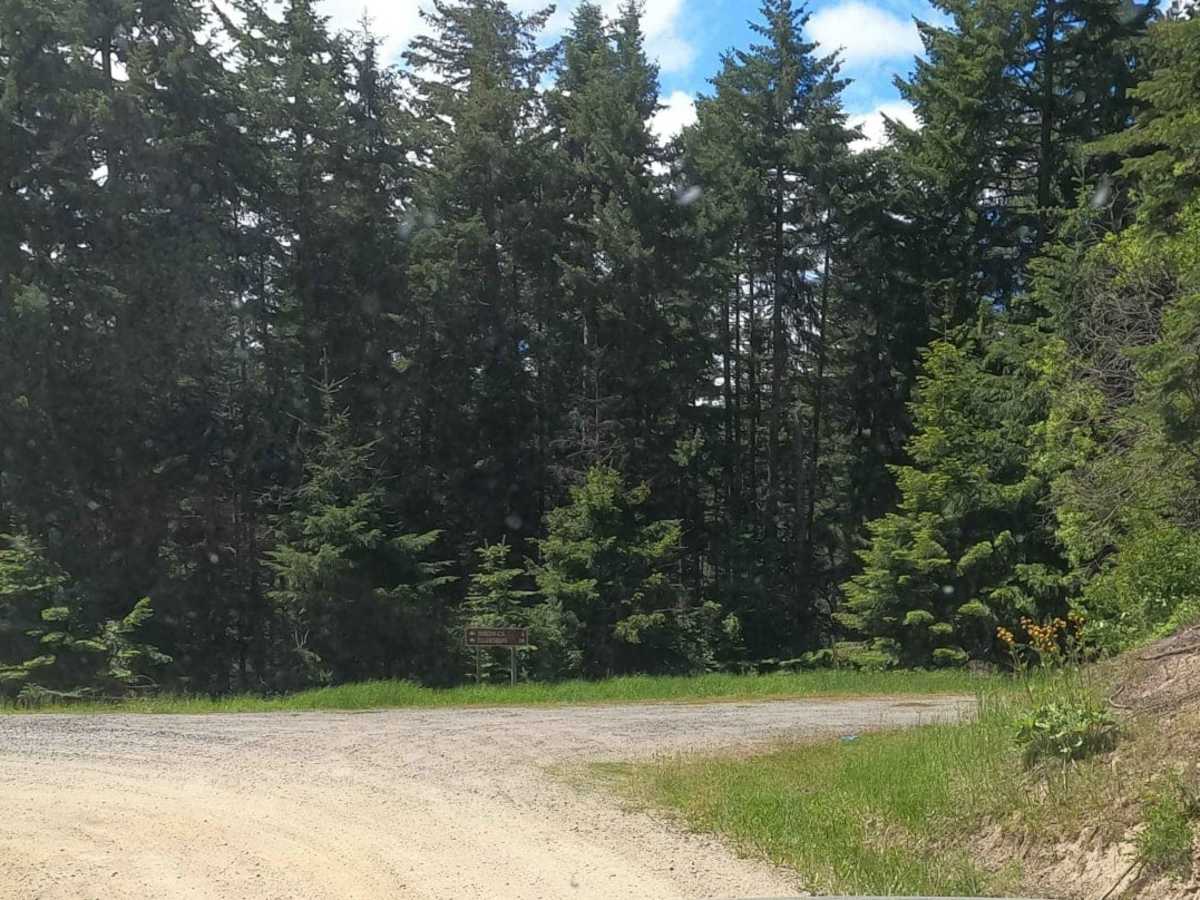 Lankin Loop - NF3350-119 photo 3