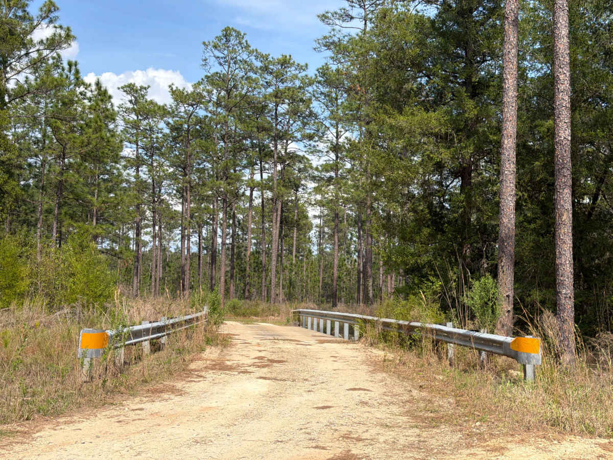Mashourn Forks Road trail photo