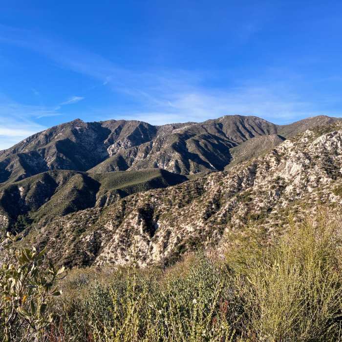 Near Iron Mountain 2 via Condor Peak Trail