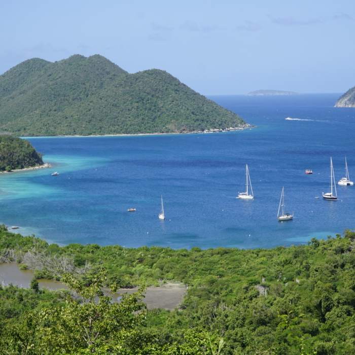 Wide view of Leinster Bay. Near Johnny Horn Trail