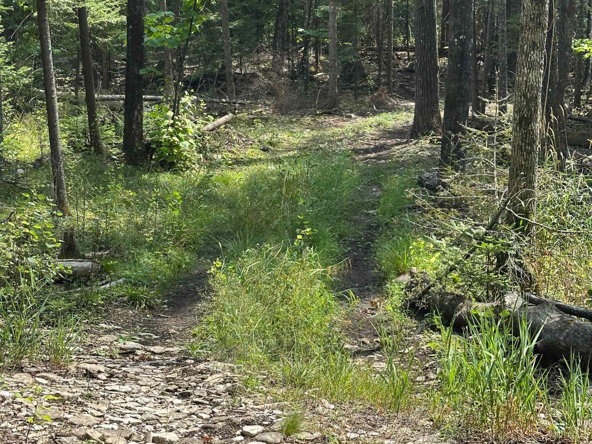 Lower Ledge  photo 5