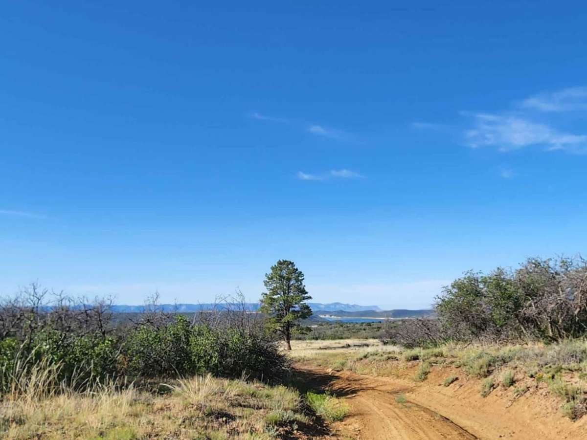 Beaver Rim F Road photo 6