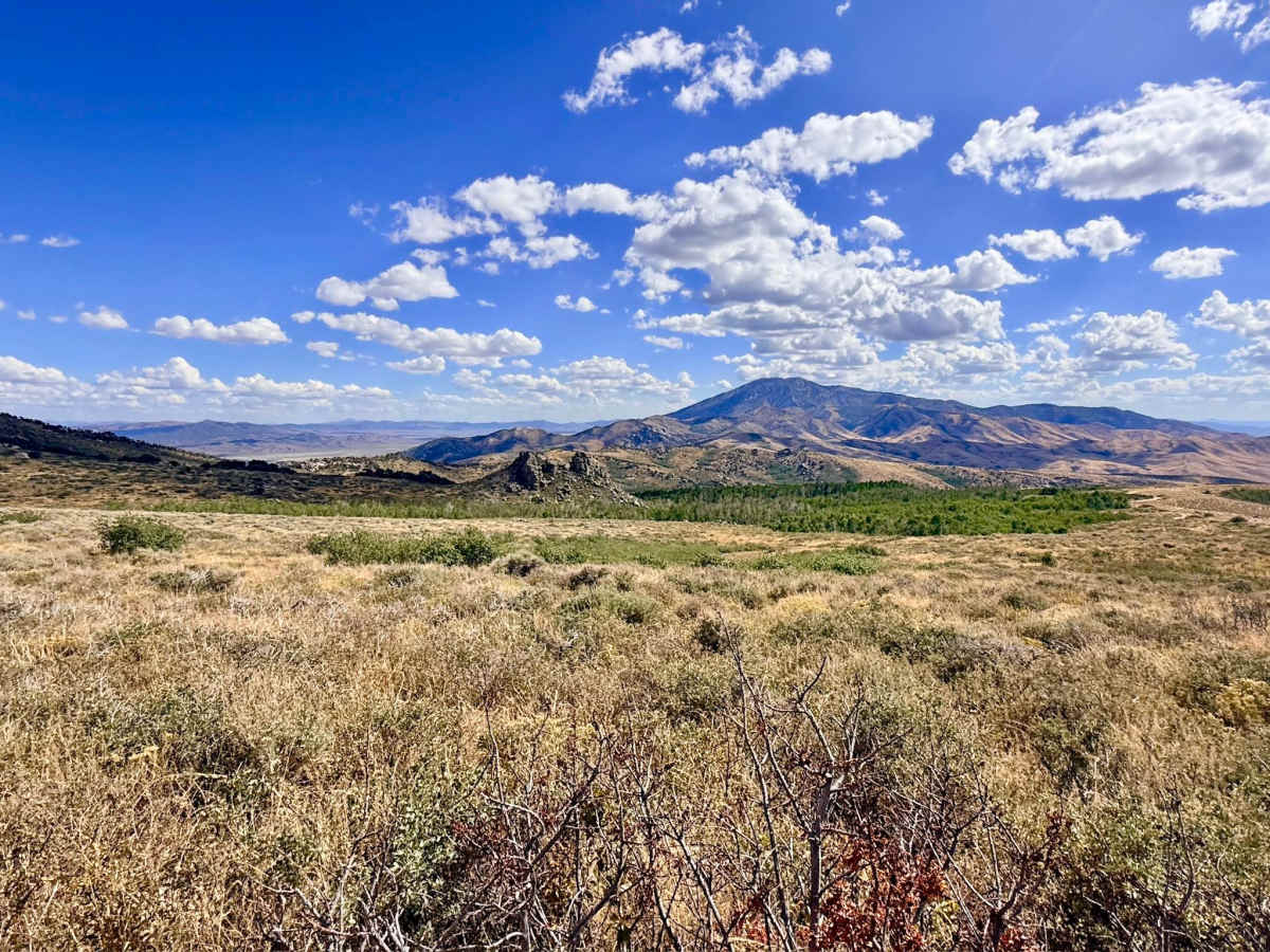 Arizona Spring - FS 57107A photo 6