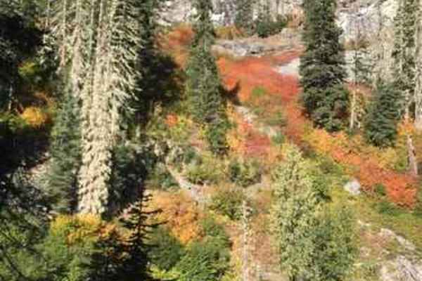 Upper Fortune Creek