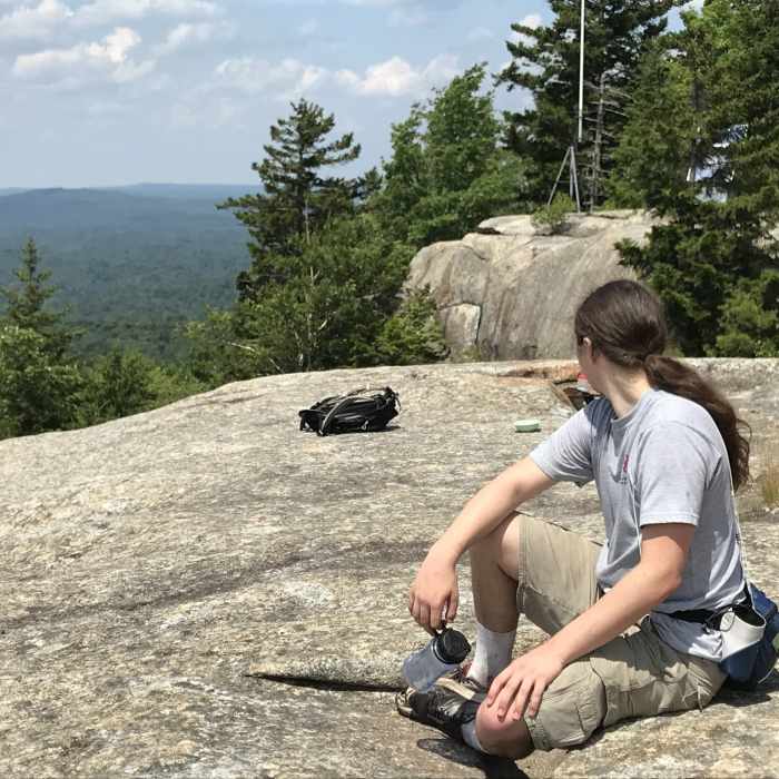 Summit of Cat Mountain looking north Near Cat Mountain Out-and-Back