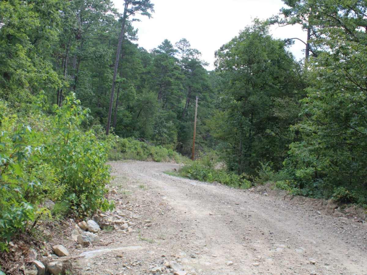 Round to Henson School Road photo 6