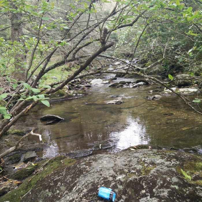 Creek by our campsite Near Sam Knob Loop