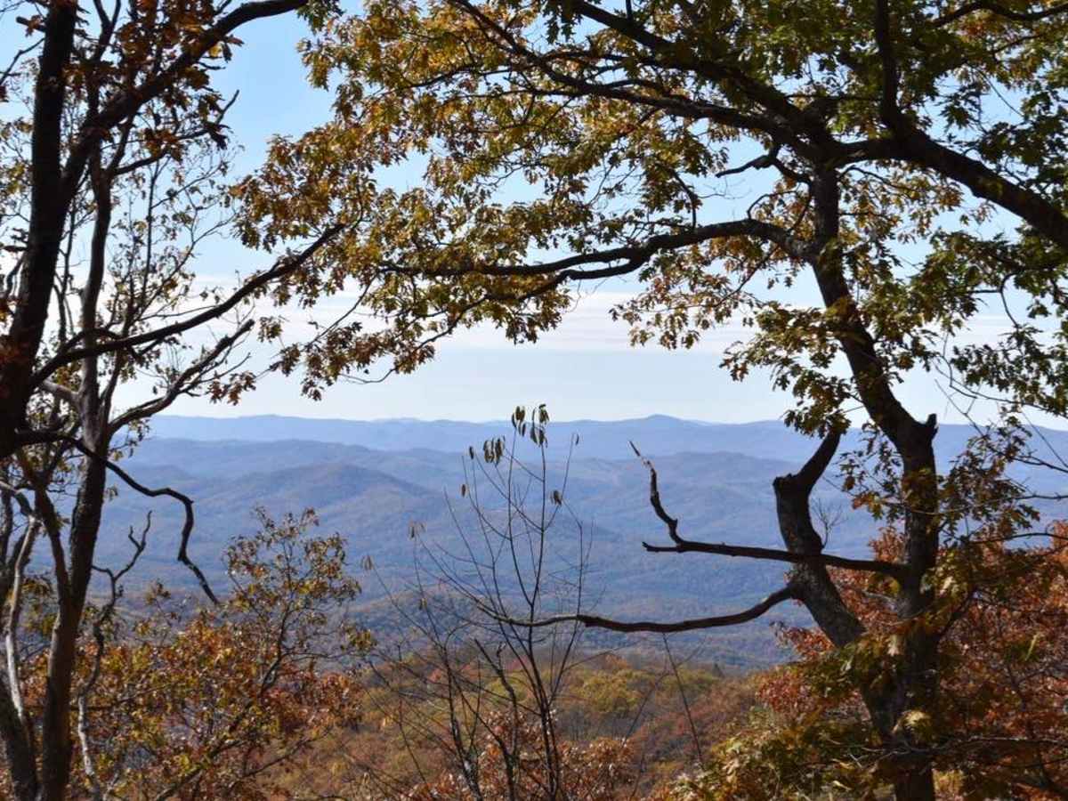 Bother Flagpole Knob Trail photo 4