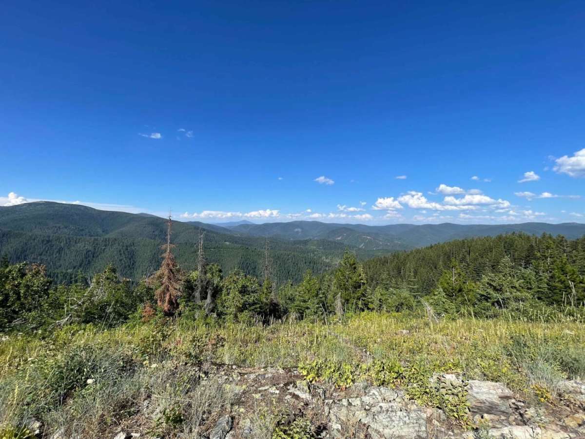 Badger Mountain trail photo