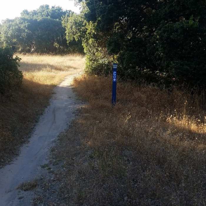 Near Jerry Smith Corridor