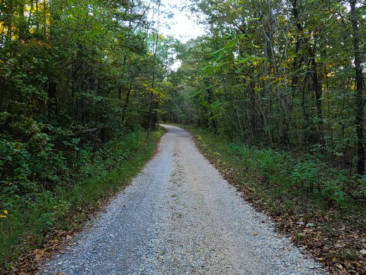 County Line Road - FS 316 photo 4