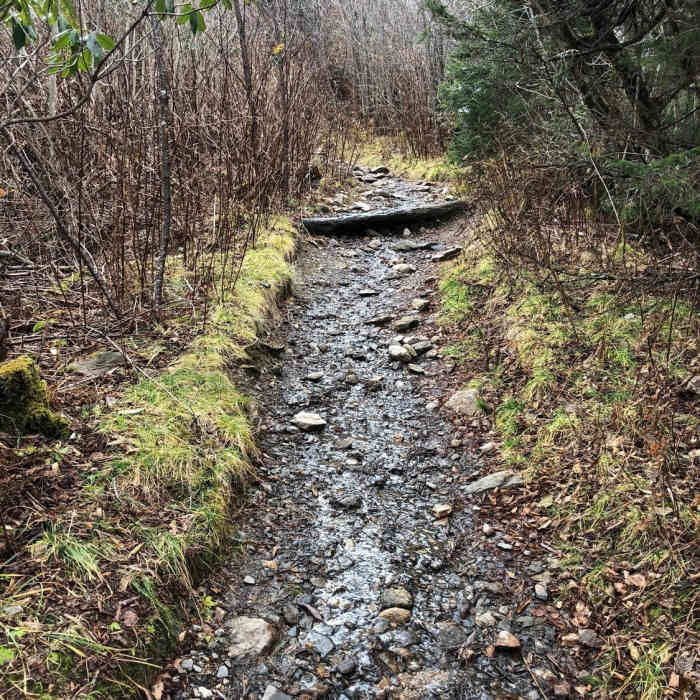 Near Devil's Courthouse