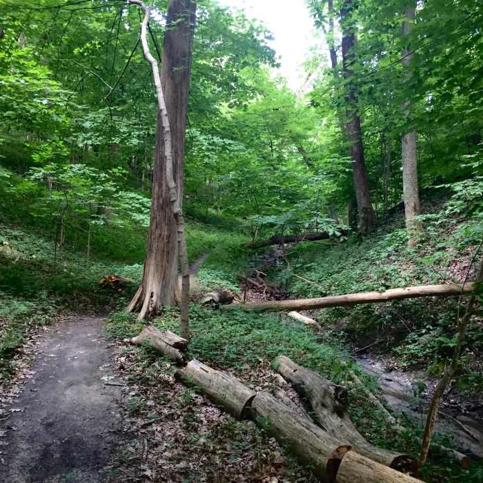 The base of Hawk Ravine. Near Prairie View Nature Trail