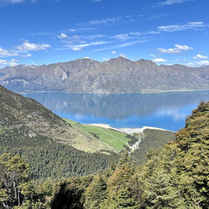 Near Sawyer Burn Track Near Sawyer Burn Track