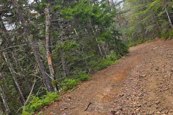 Hardscrabble Road