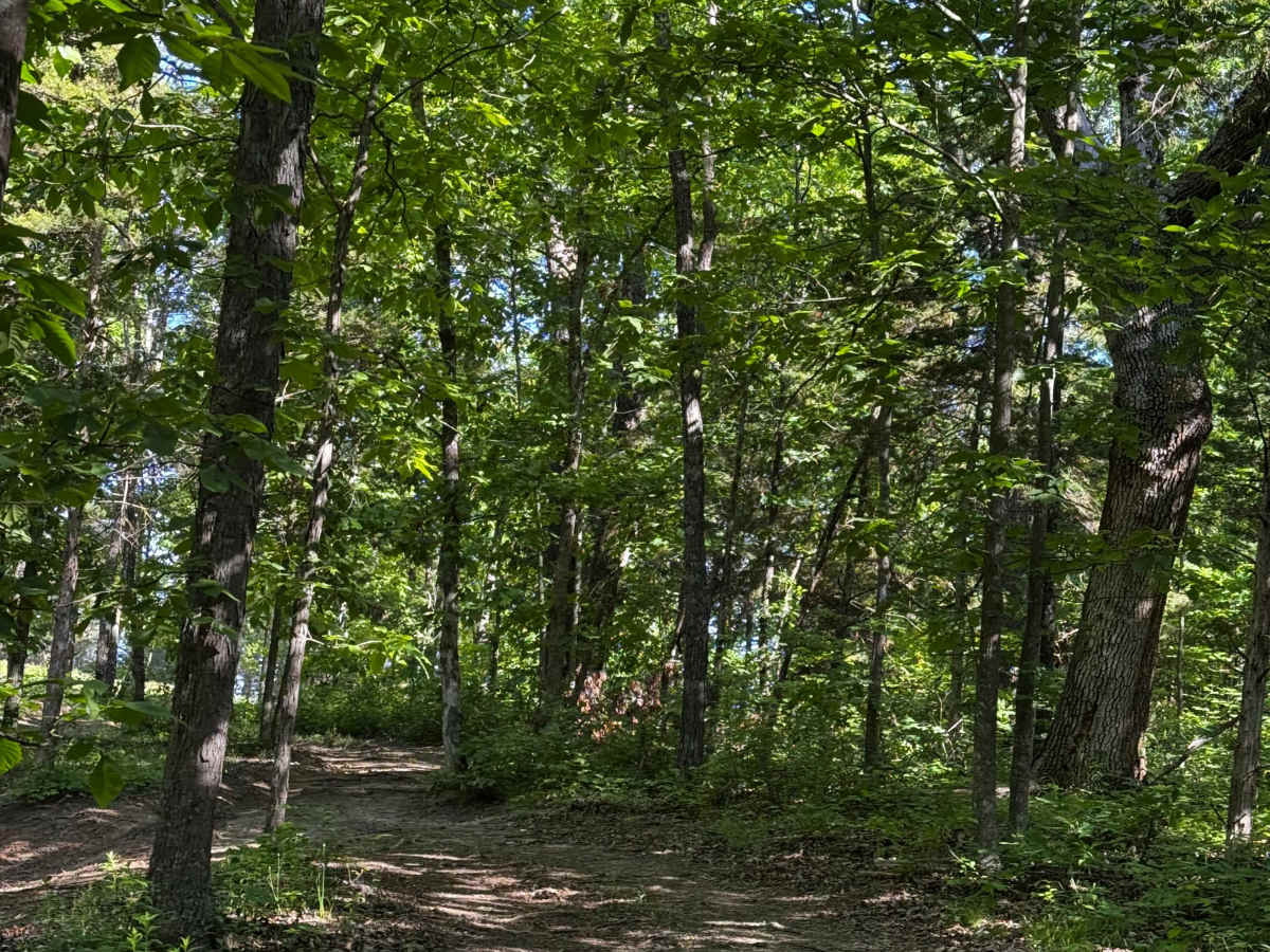 Bounty Hole Trail photo 4