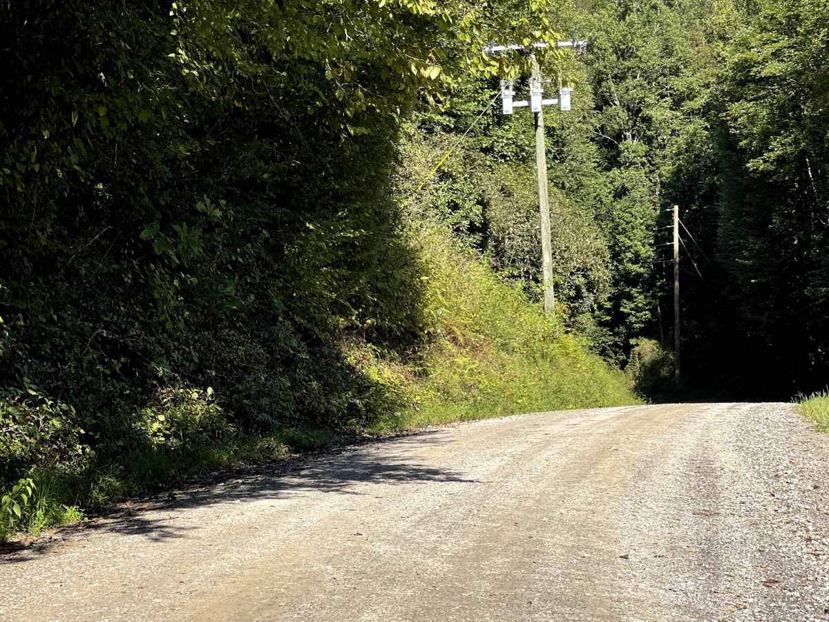 Caldwell Line Road trail photo