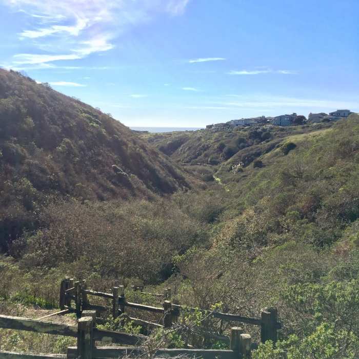 Near Pinnacle Gulch - Shorttail Gulch Trail Loop