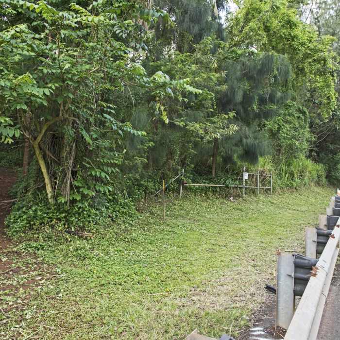 Near Pu'u Ma'eli'eli Trail Near Pu'u Ma'eli'eli Trail