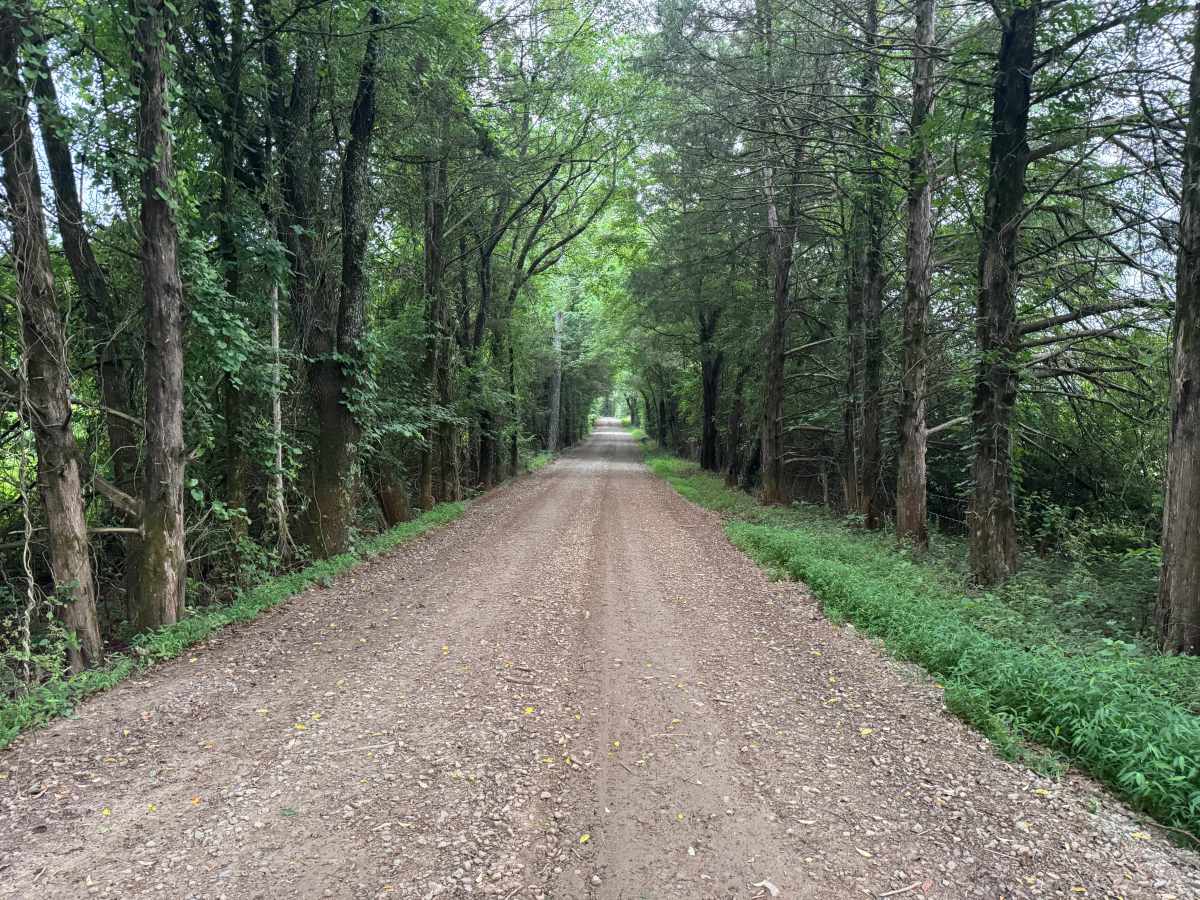County Road 3365 photo 3