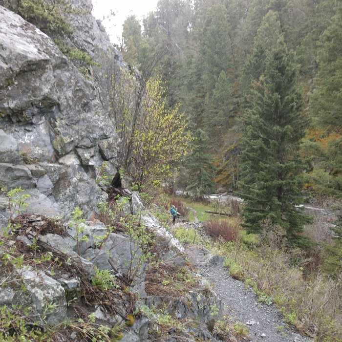 Near Crow Creek Falls Trail