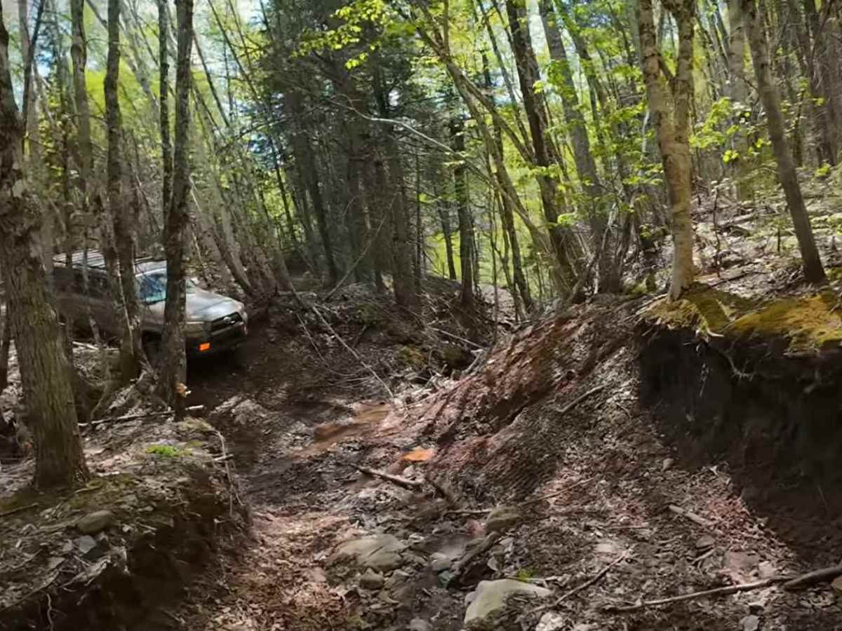 Pecks Creek Main Trail trail photo