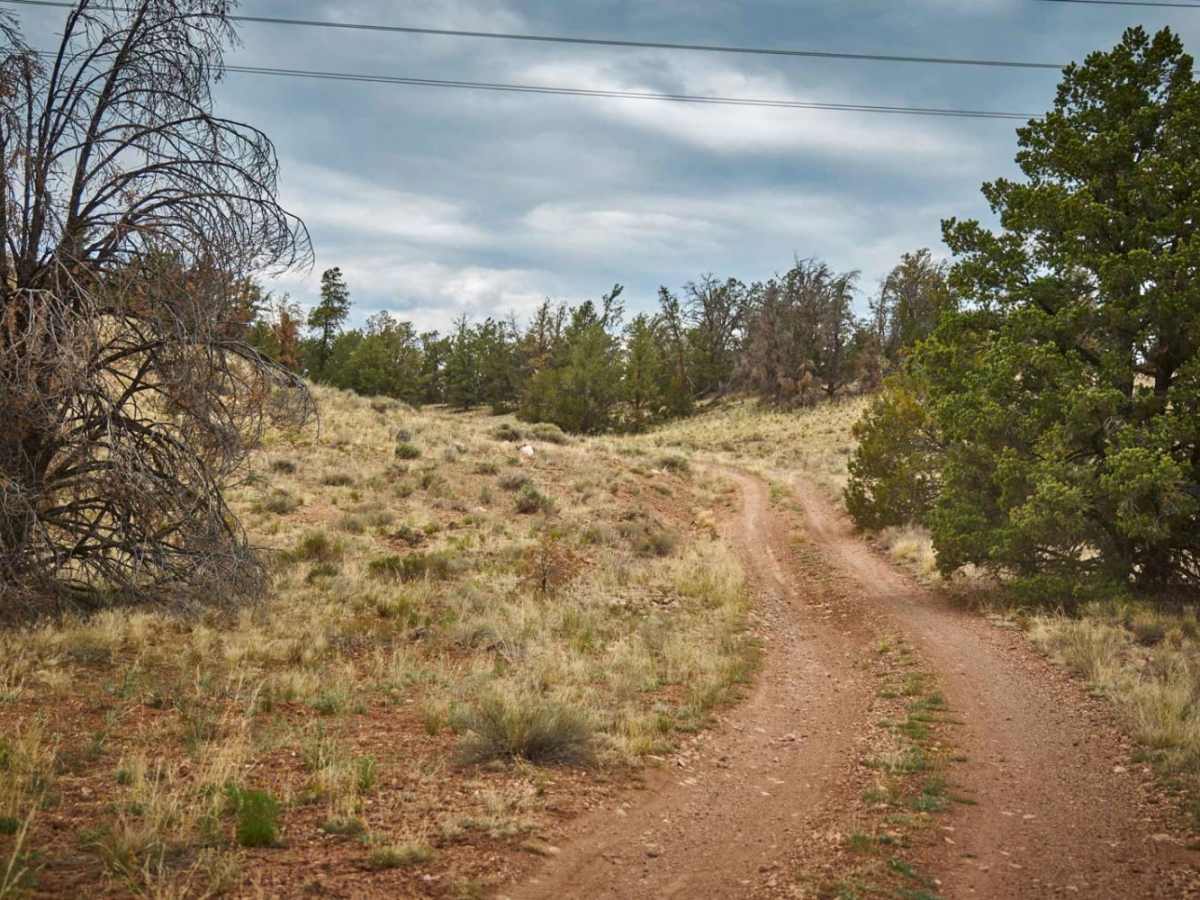 776 / Powerline Road photo 5