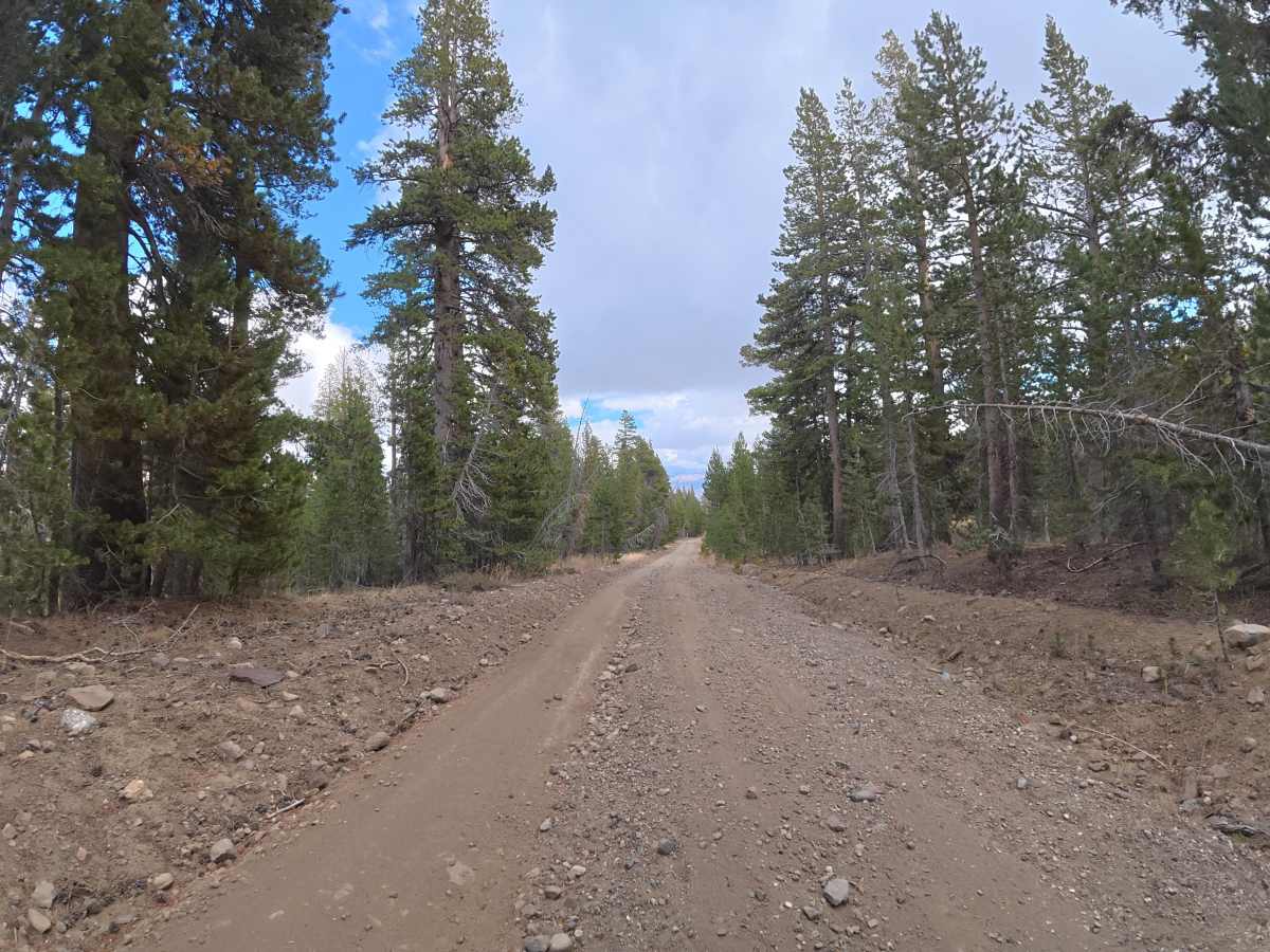 Wolf Creek photo 4