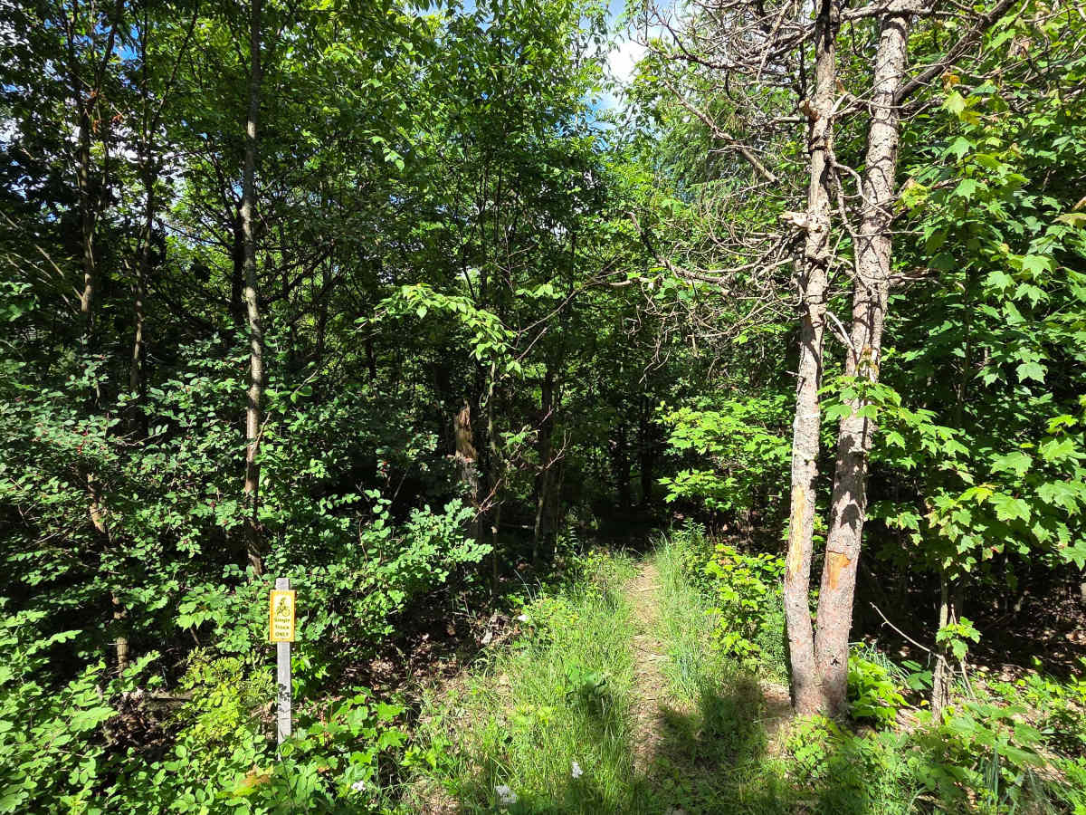 Single Track F photo 3