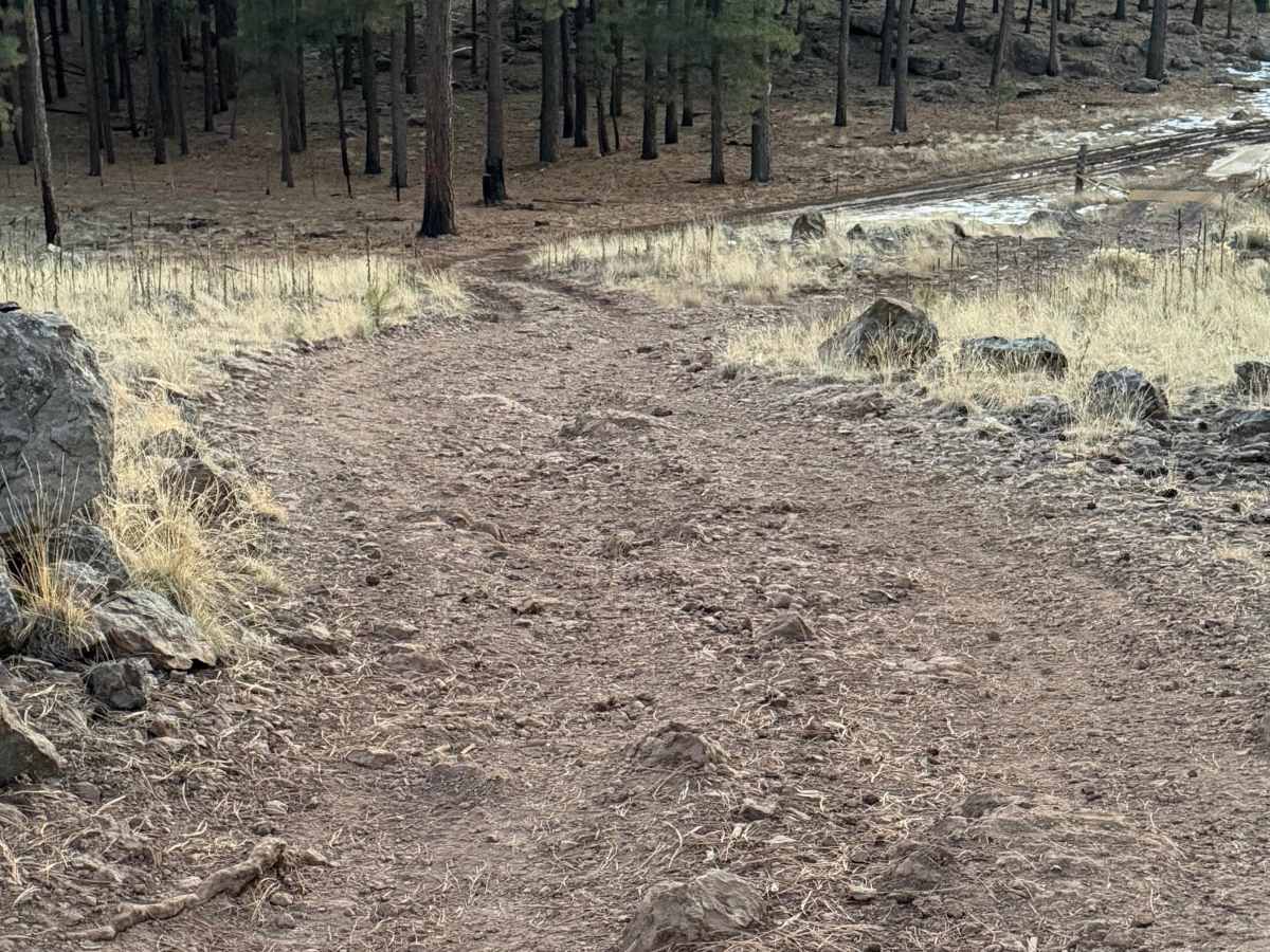 Flagstaff Powerline Trail photo 4