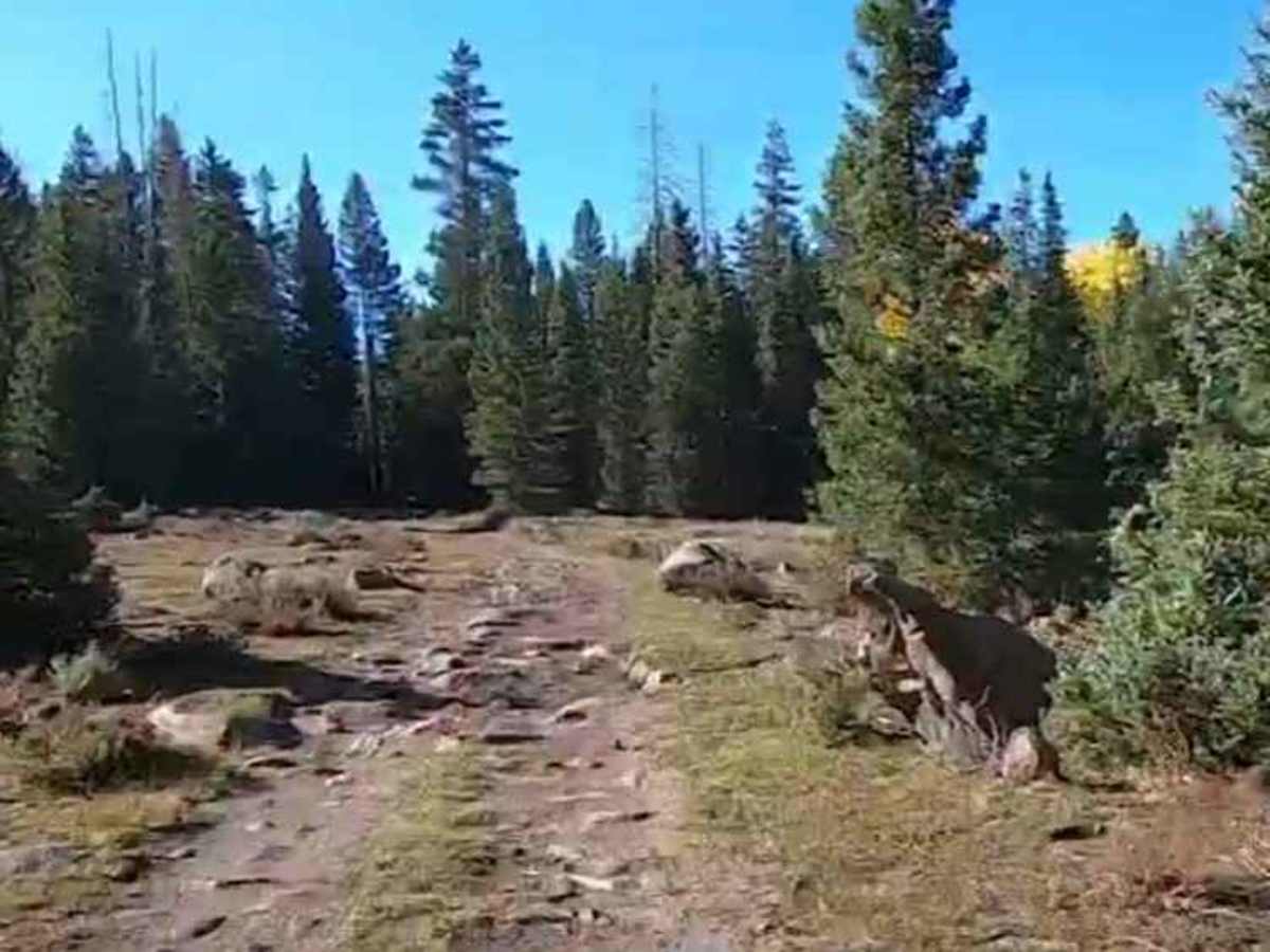 Pacer Lake ATV Trail - 34004 photo 2