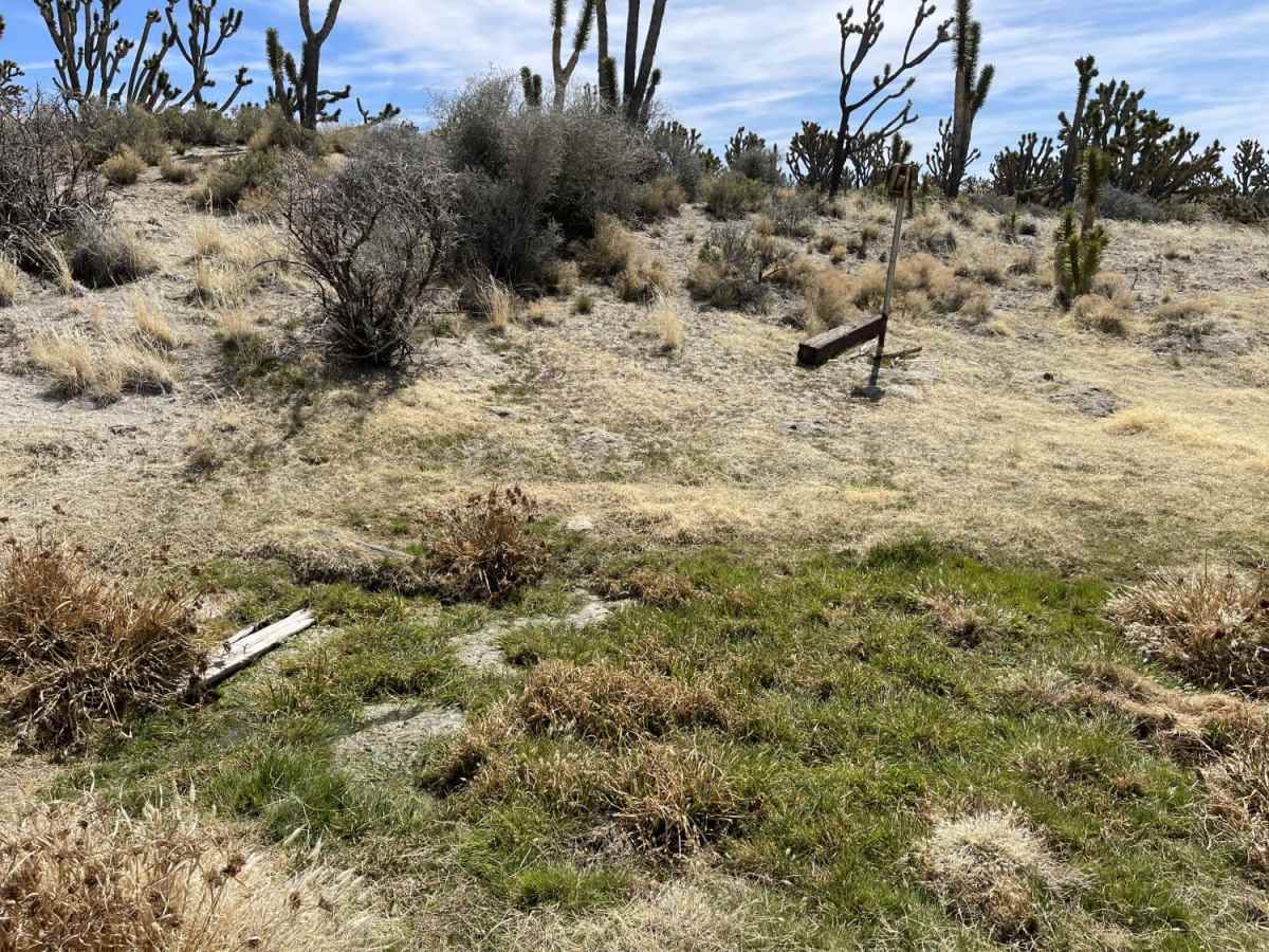 Southern Deer Spring Road photo 3