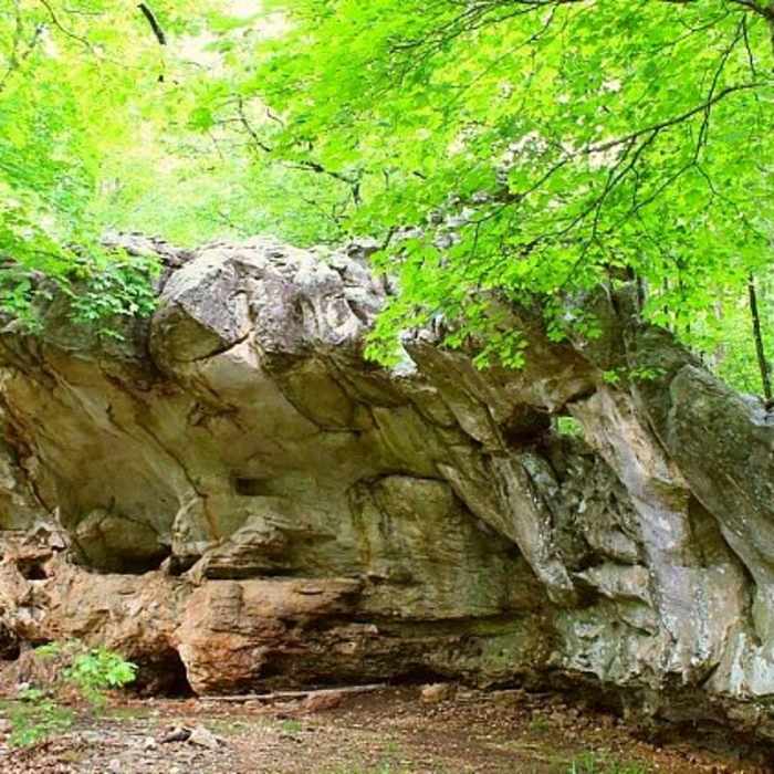 Near Miner's Rock Trail