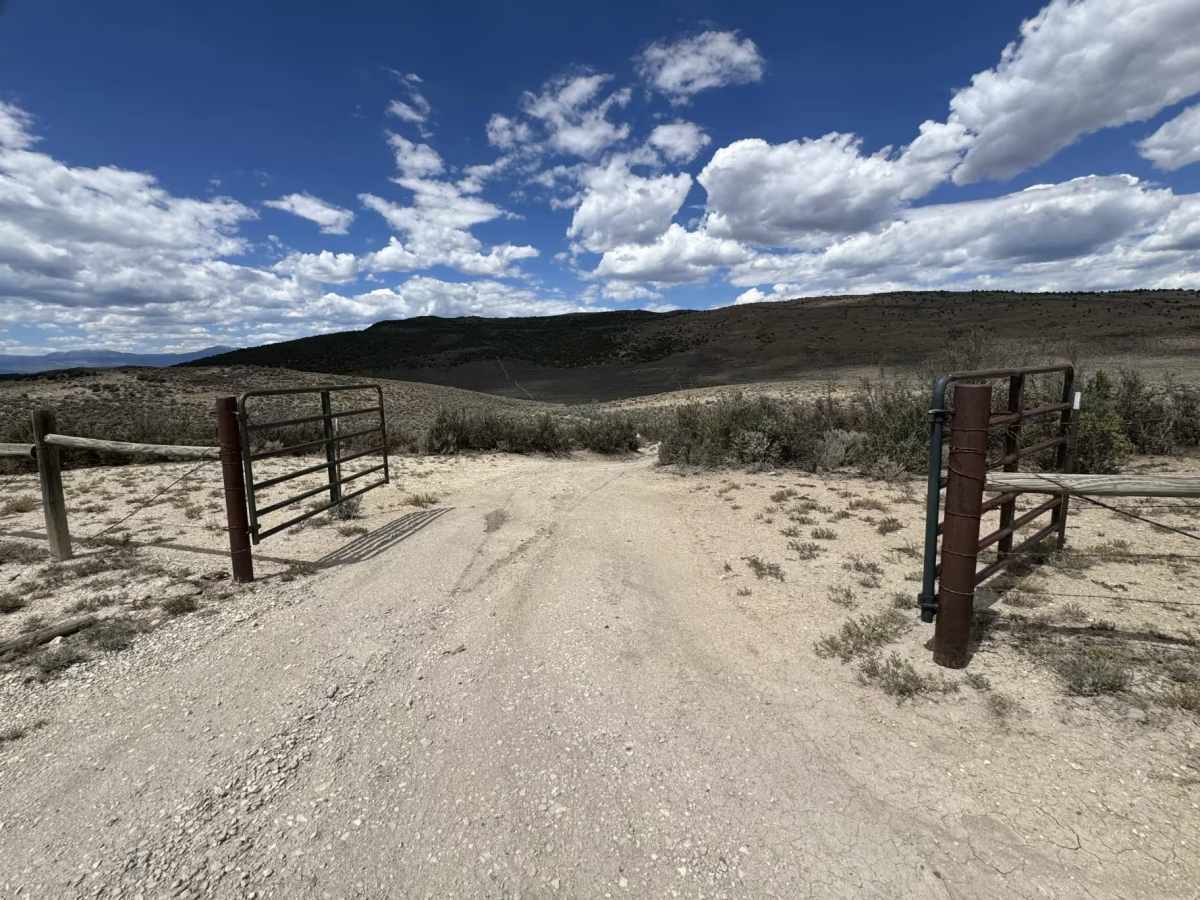 BLM 8532 photo 4