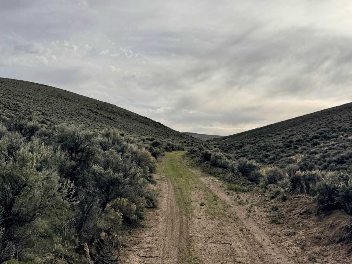 Emigrant Canyon - FS 43222 photo 6