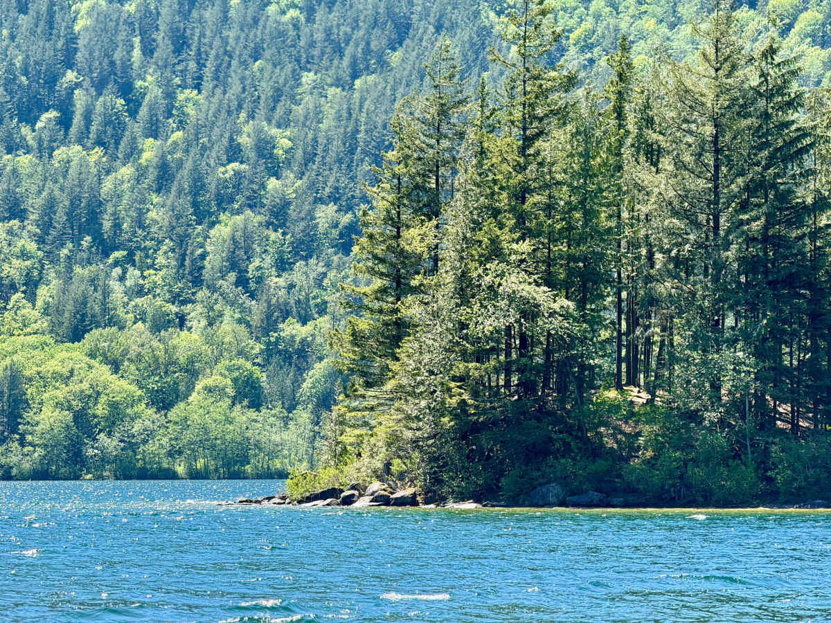 Hicks Lake Road  photo 6